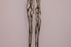 Miniatura 33