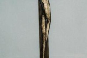 Miniatura 61