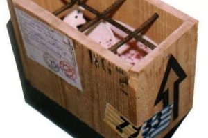 Miniatura 6